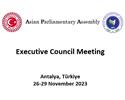 APA Executive Council Meeting 2023